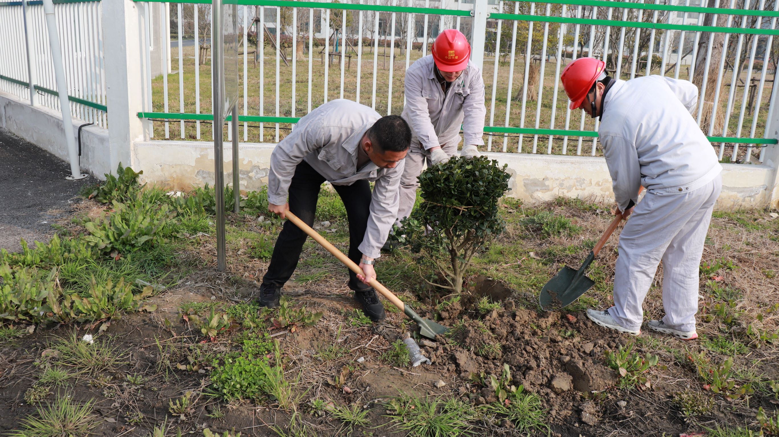 植樹現(xiàn)場-s